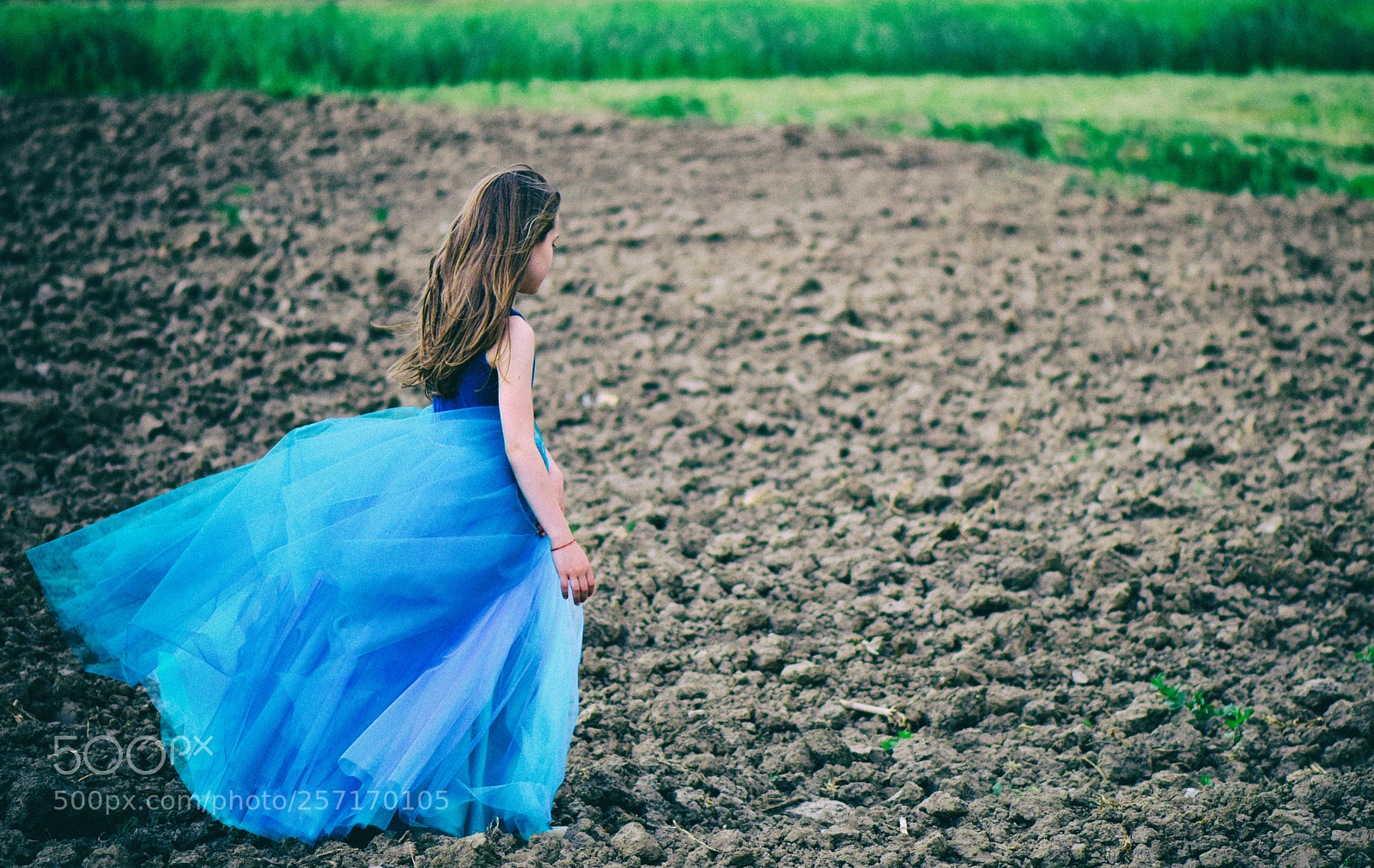 Nikon D810 sample photo. Fairy-tales... photography