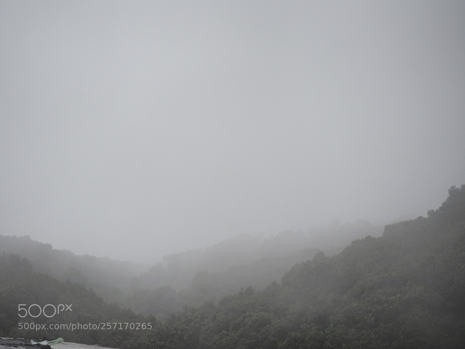Olympus OM-D E-M10 II sample photo. Mist & sulfur photography