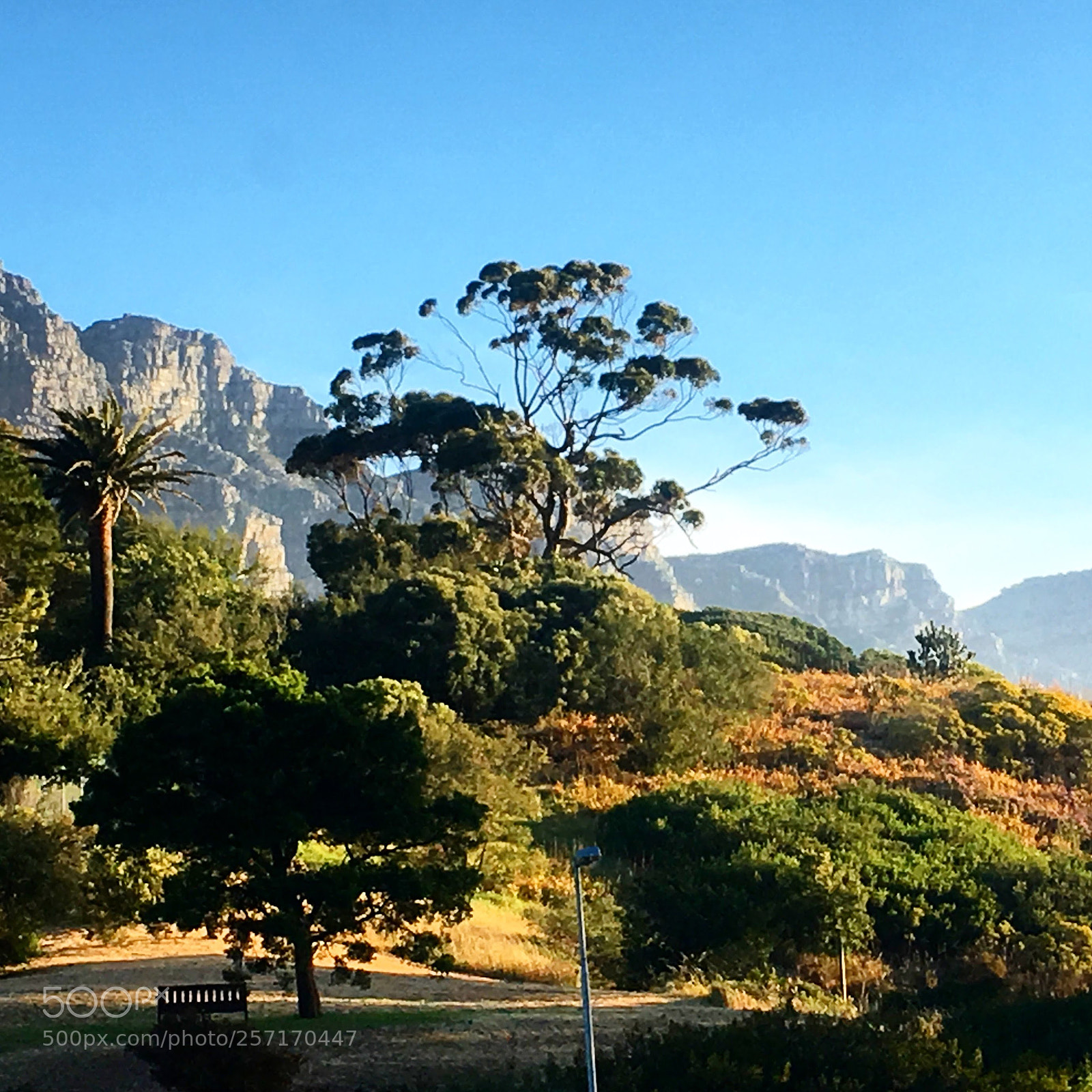 Apple iPhone SE sample photo. The 12 apostles and photography
