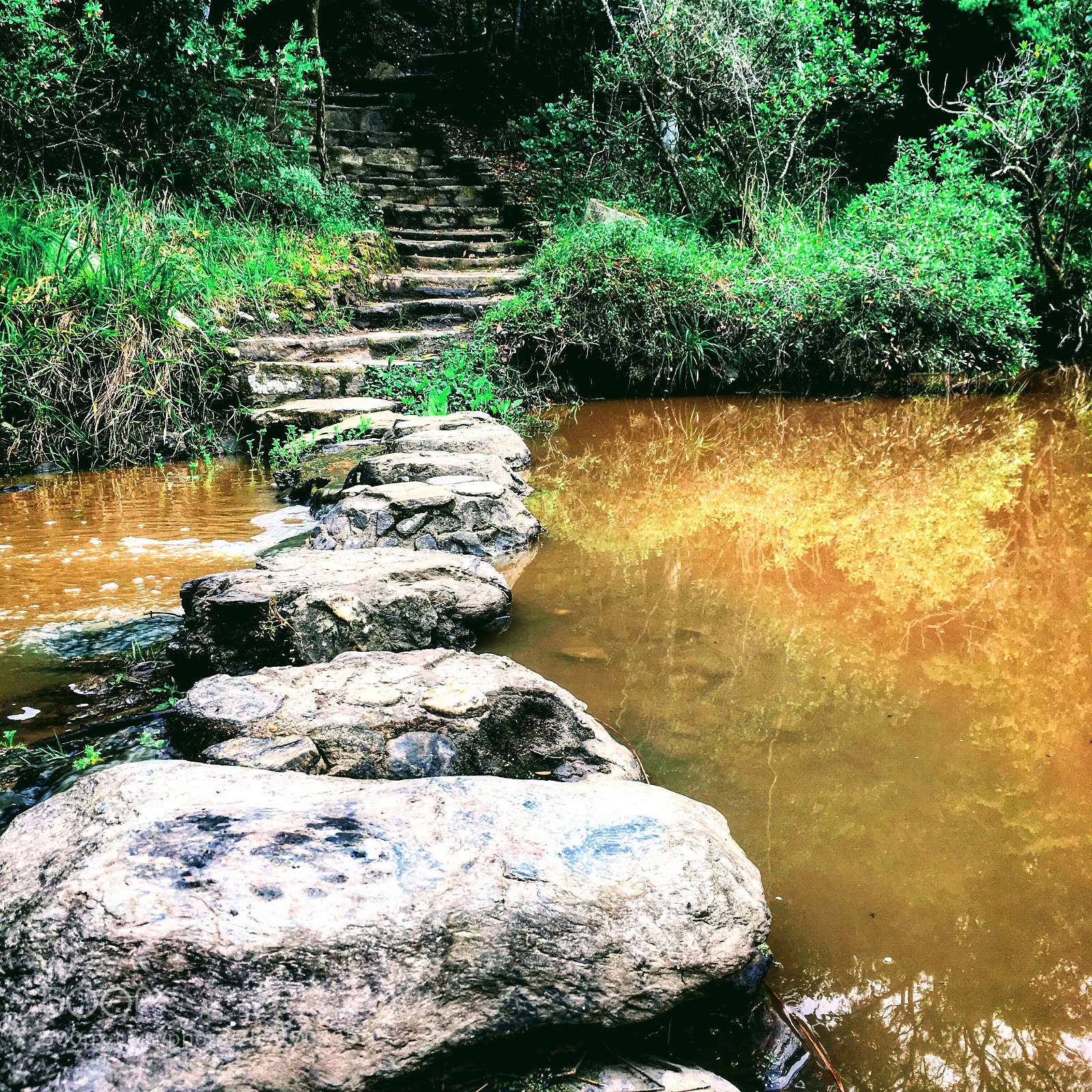 Apple iPhone SE sample photo. Stepping stones photography