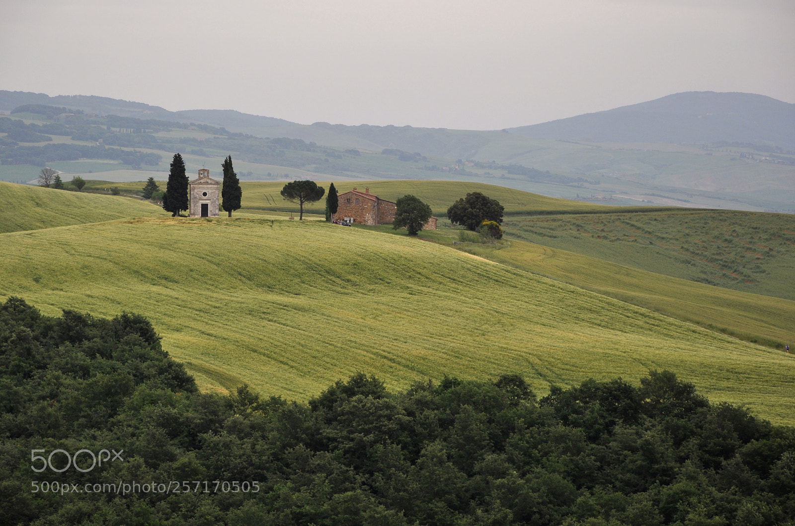 Nikon D5000 sample photo. Val d'orcia photography