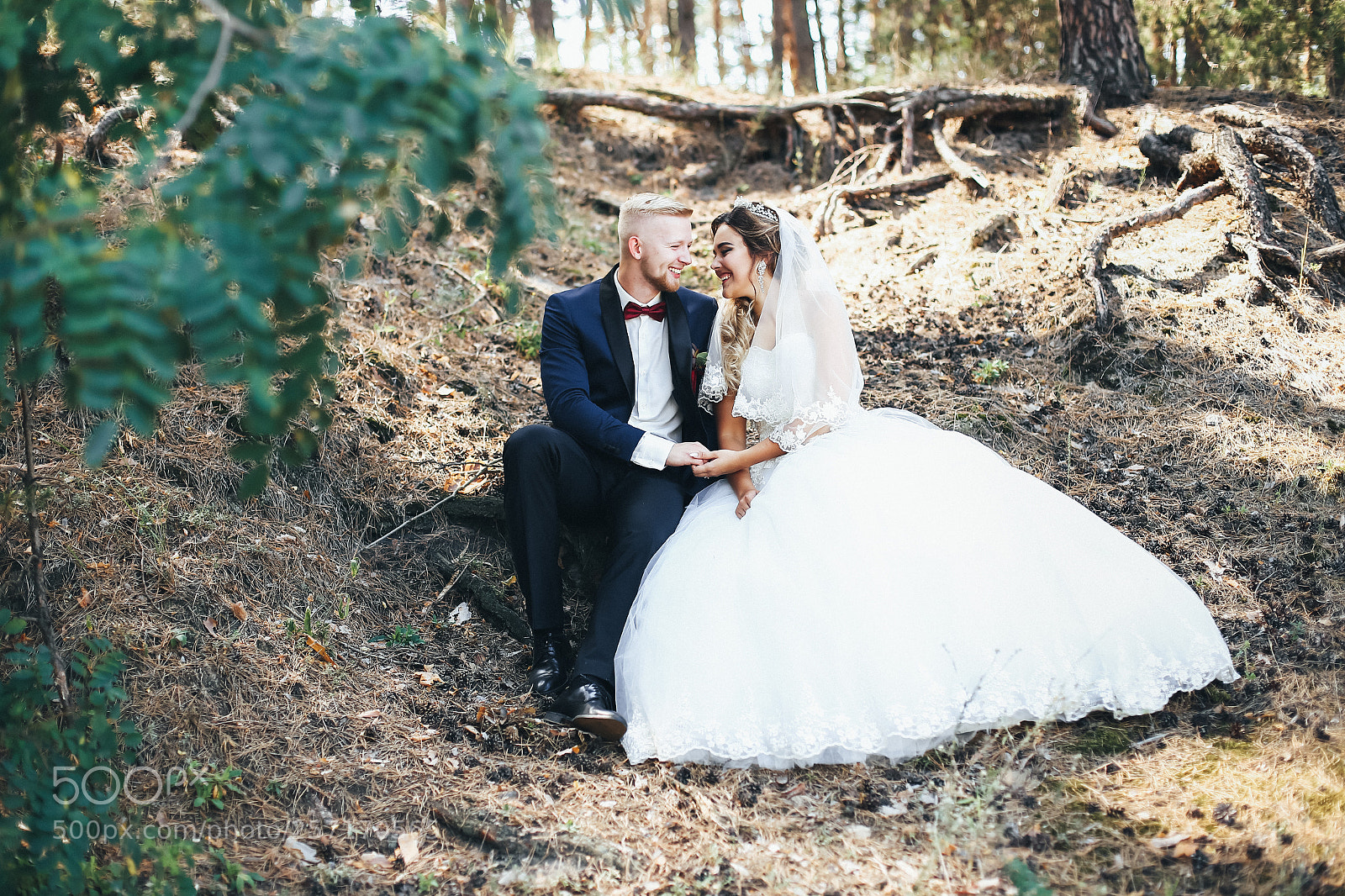 Canon EOS 6D sample photo. 150.jpg photography