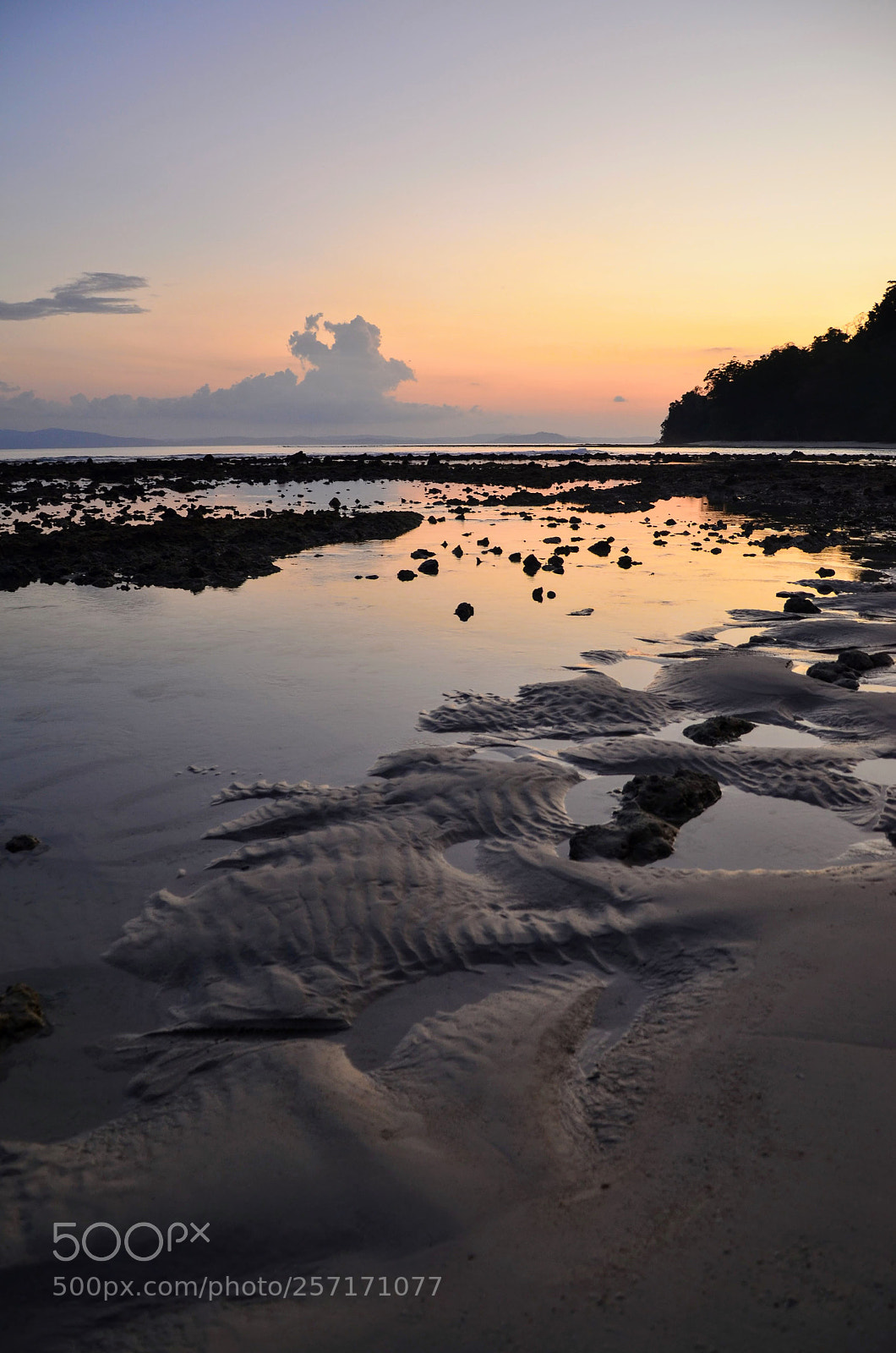 Nikon D7000 sample photo. Colors and designs of photography