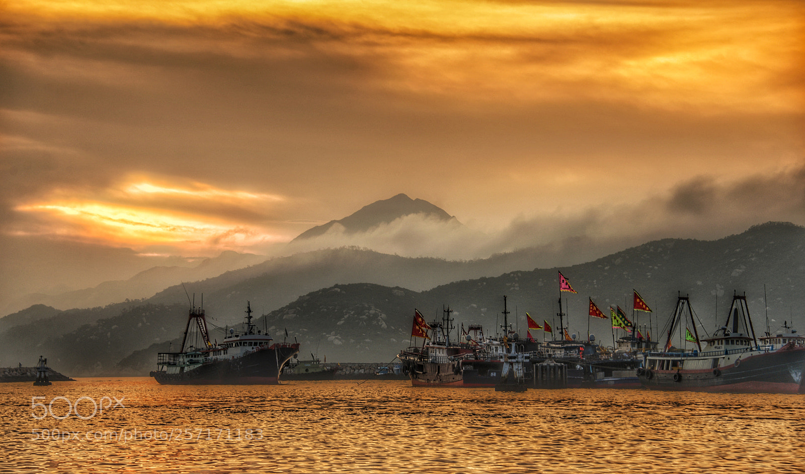 Nikon D610 sample photo. Golden photography