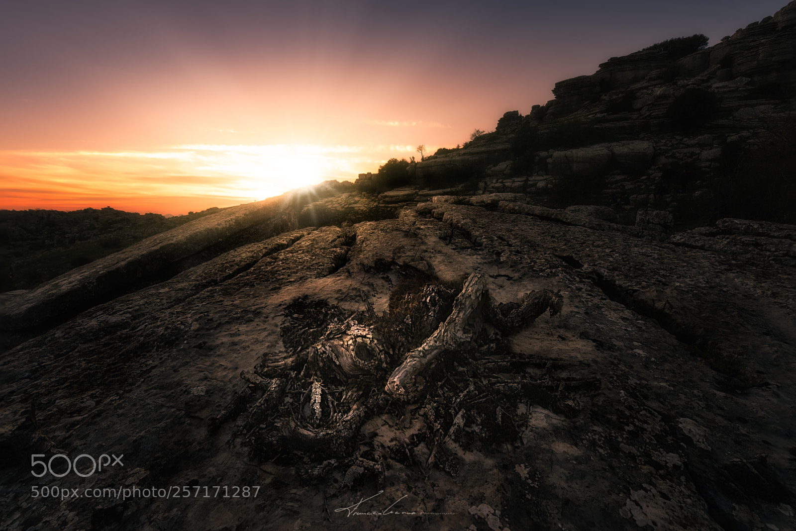 Nikon D750 sample photo. The karst photography