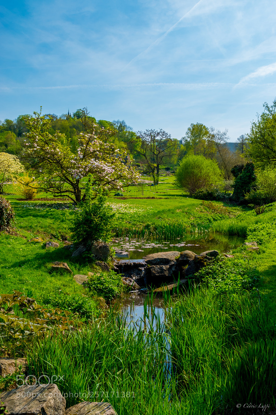 Nikon D5500 sample photo. Oasis de paradis photography