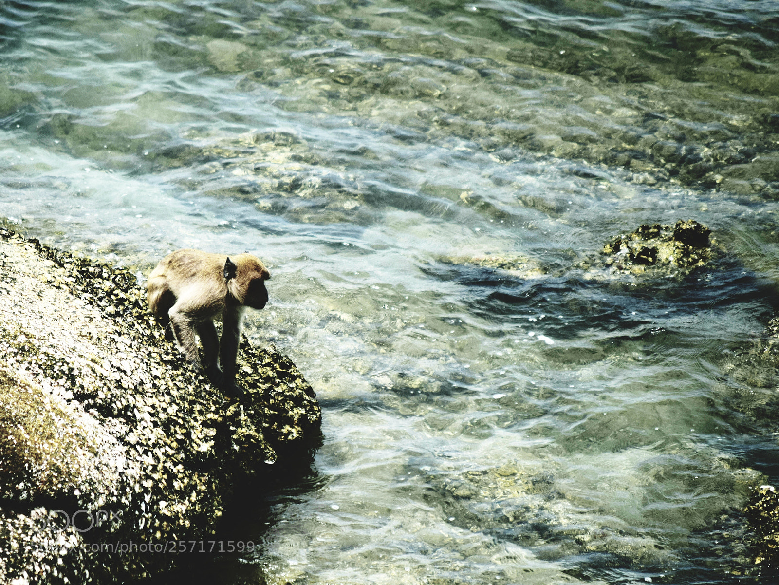 Nikon D5300 sample photo. Untitled photography