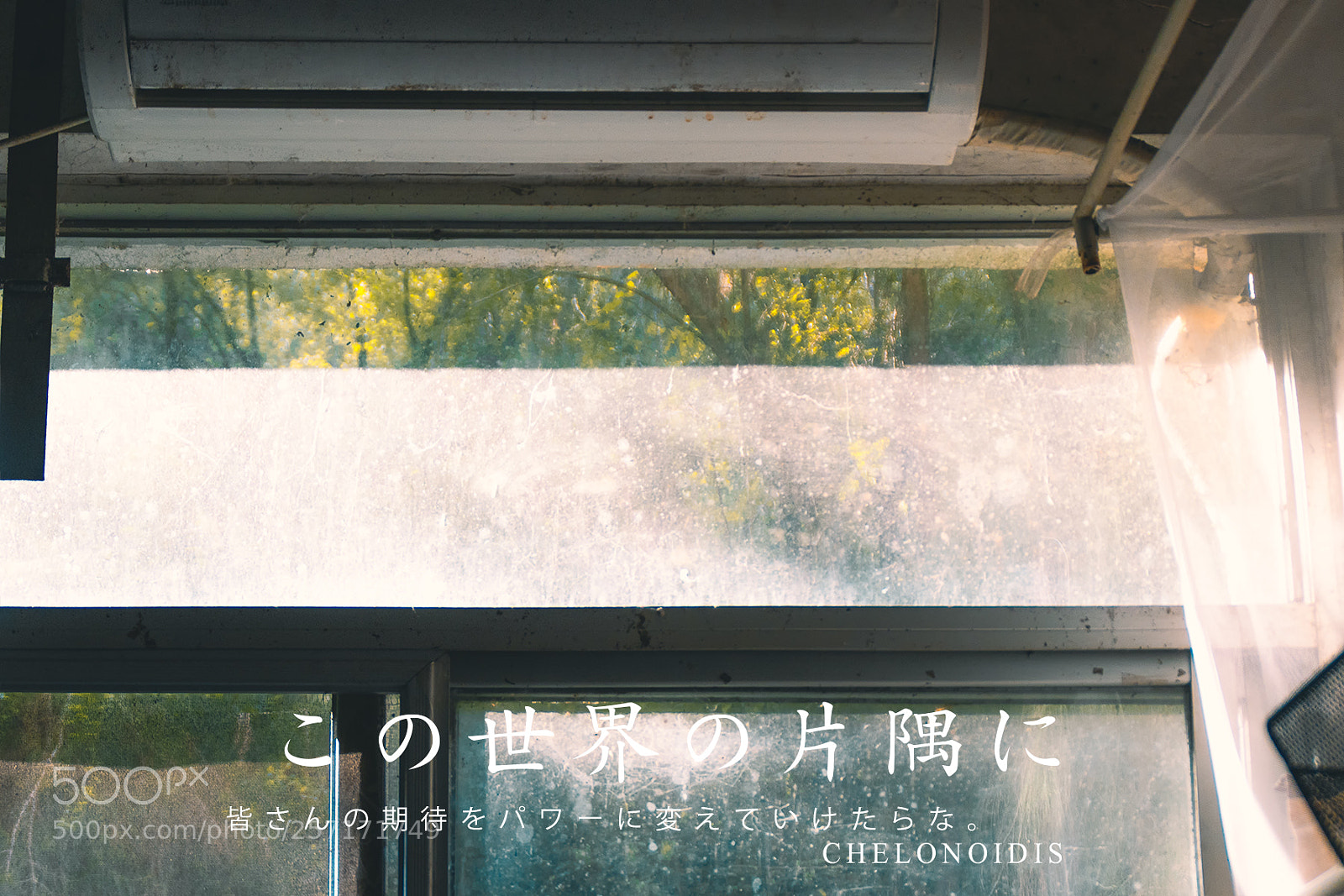 Canon EOS 80D sample photo. Window photography