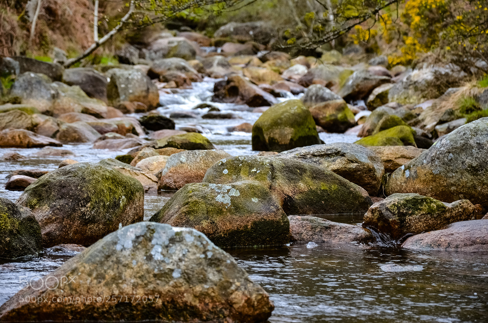 Nikon D5100 sample photo. Stone photography