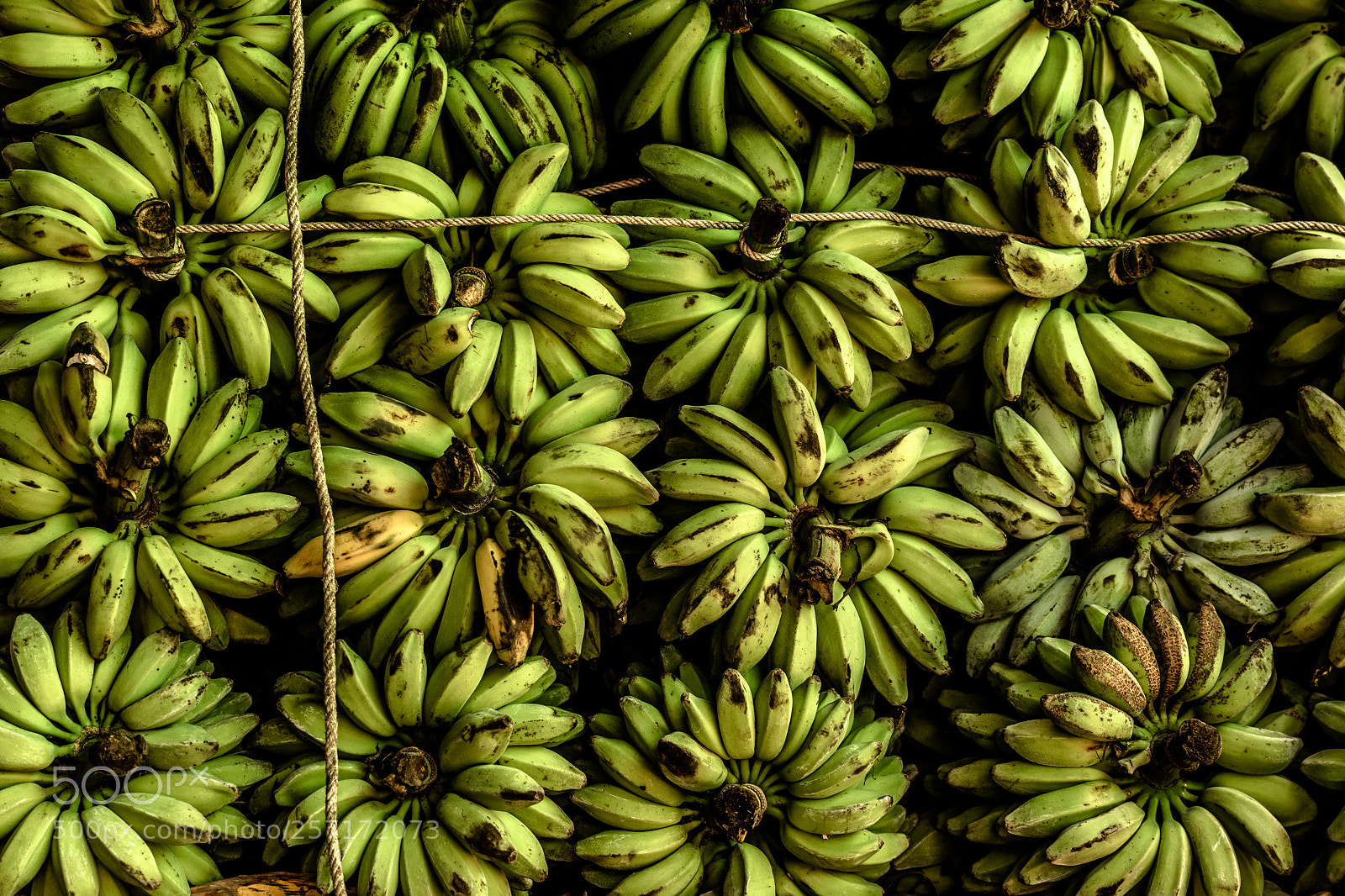 Sony a7 sample photo. Blooming bananas for you photography