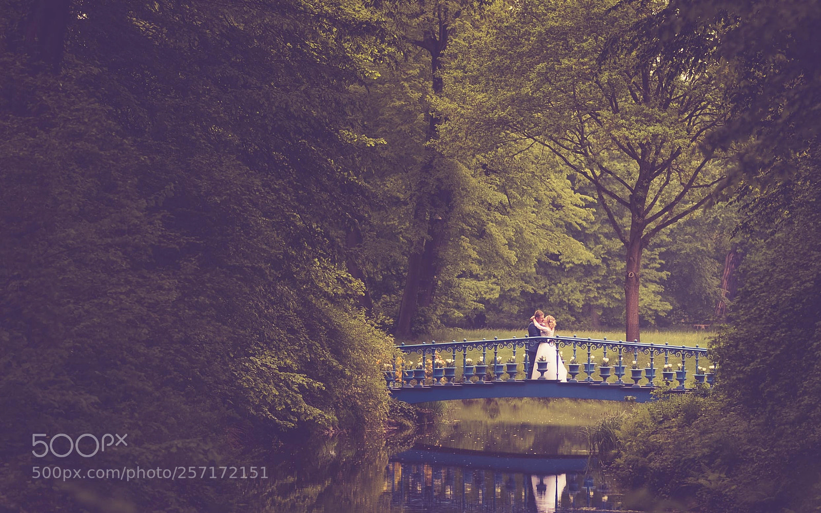 Nikon D610 sample photo. Edit photography