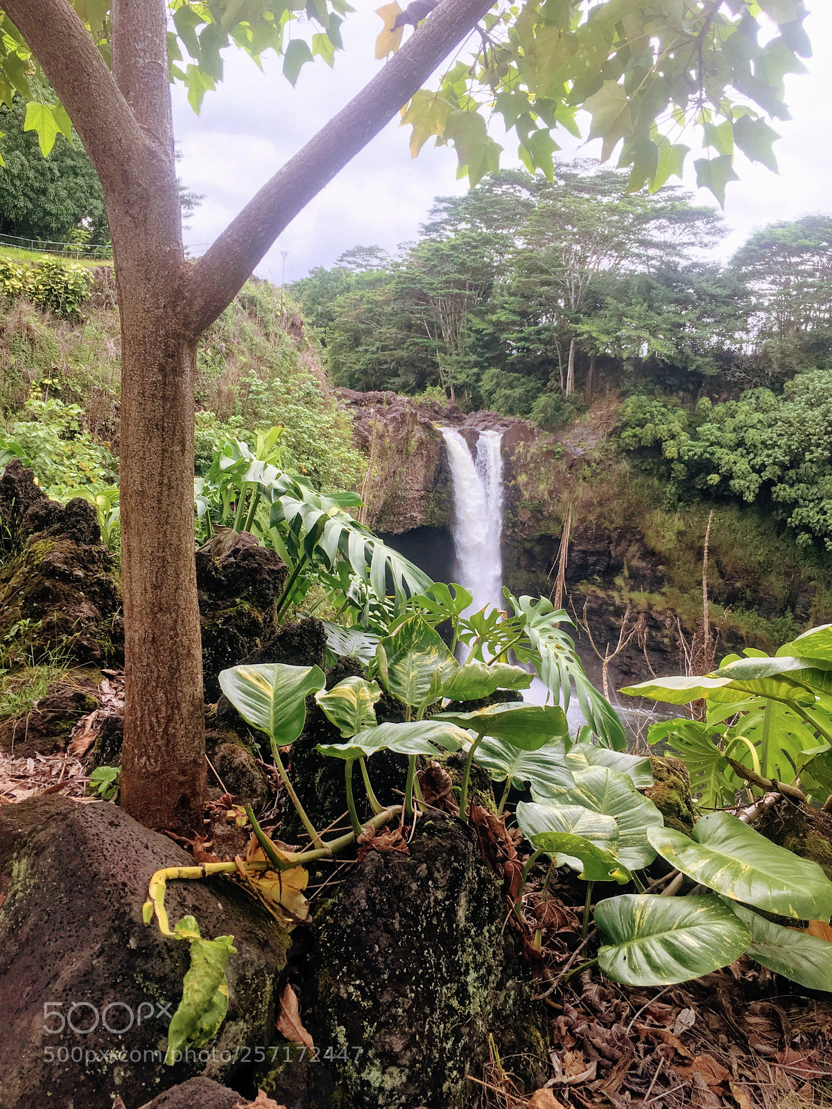 Apple iPhone SE sample photo. Hidden waterfall photography