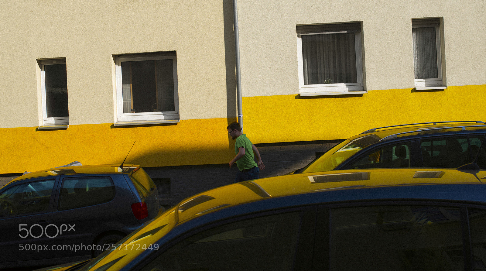 Nikon D750 sample photo. Run in the shadow photography