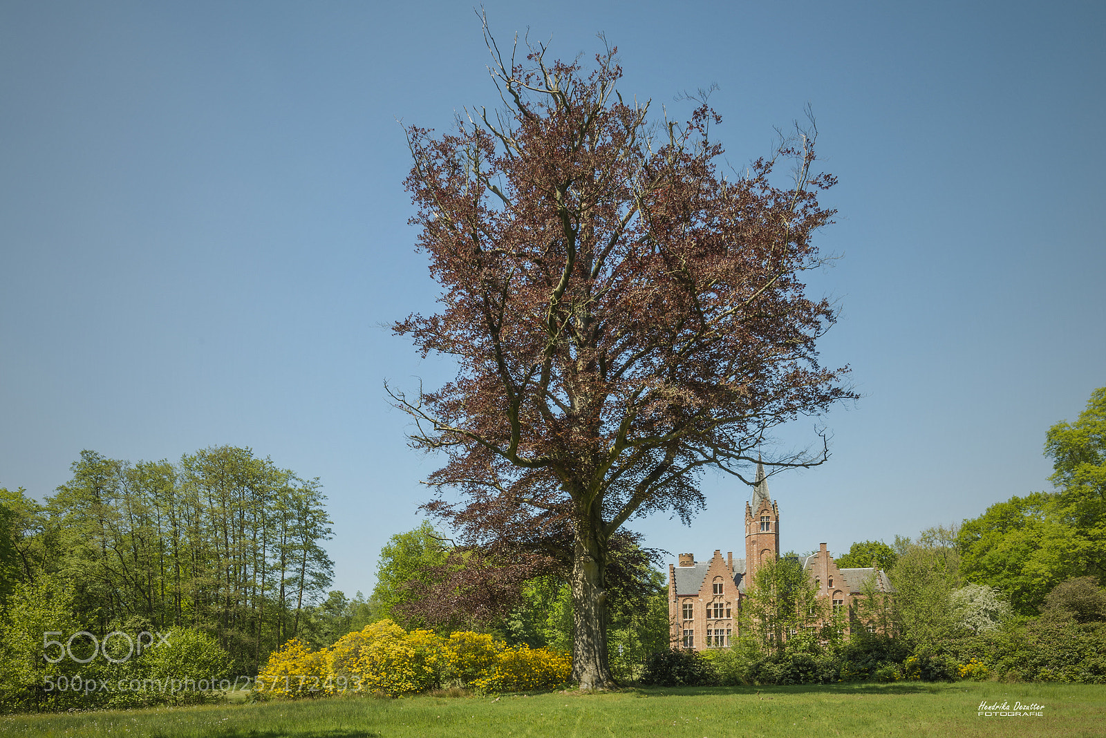 Nikon D800 sample photo. The castle of ryckevelde photography