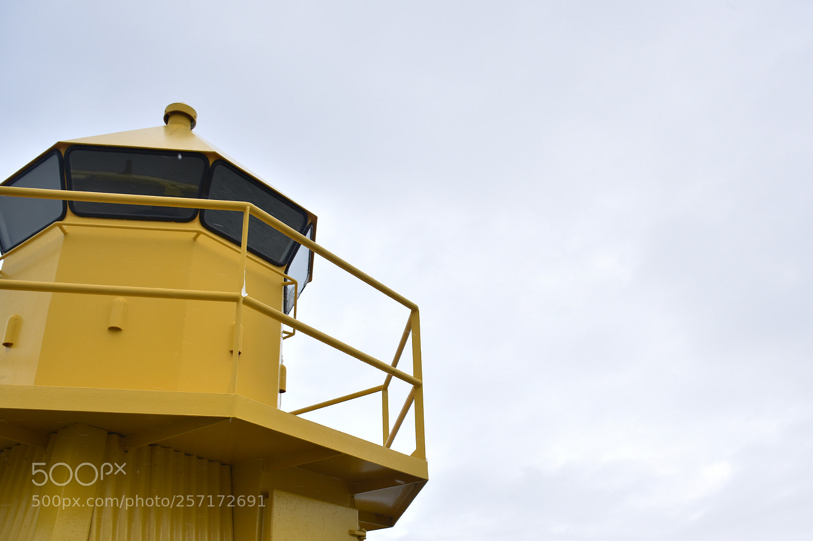 Nikon D5500 sample photo. Yellow photography