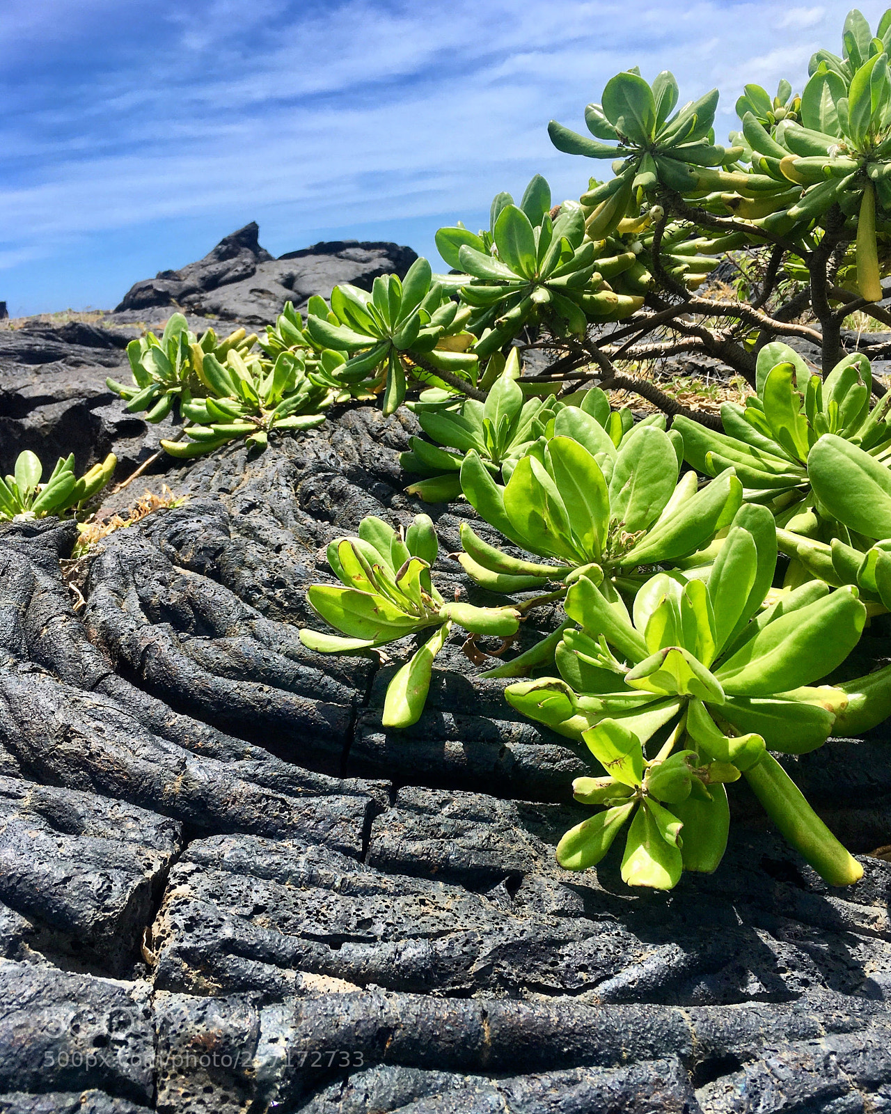 Apple iPhone SE sample photo. Life on a volcano photography