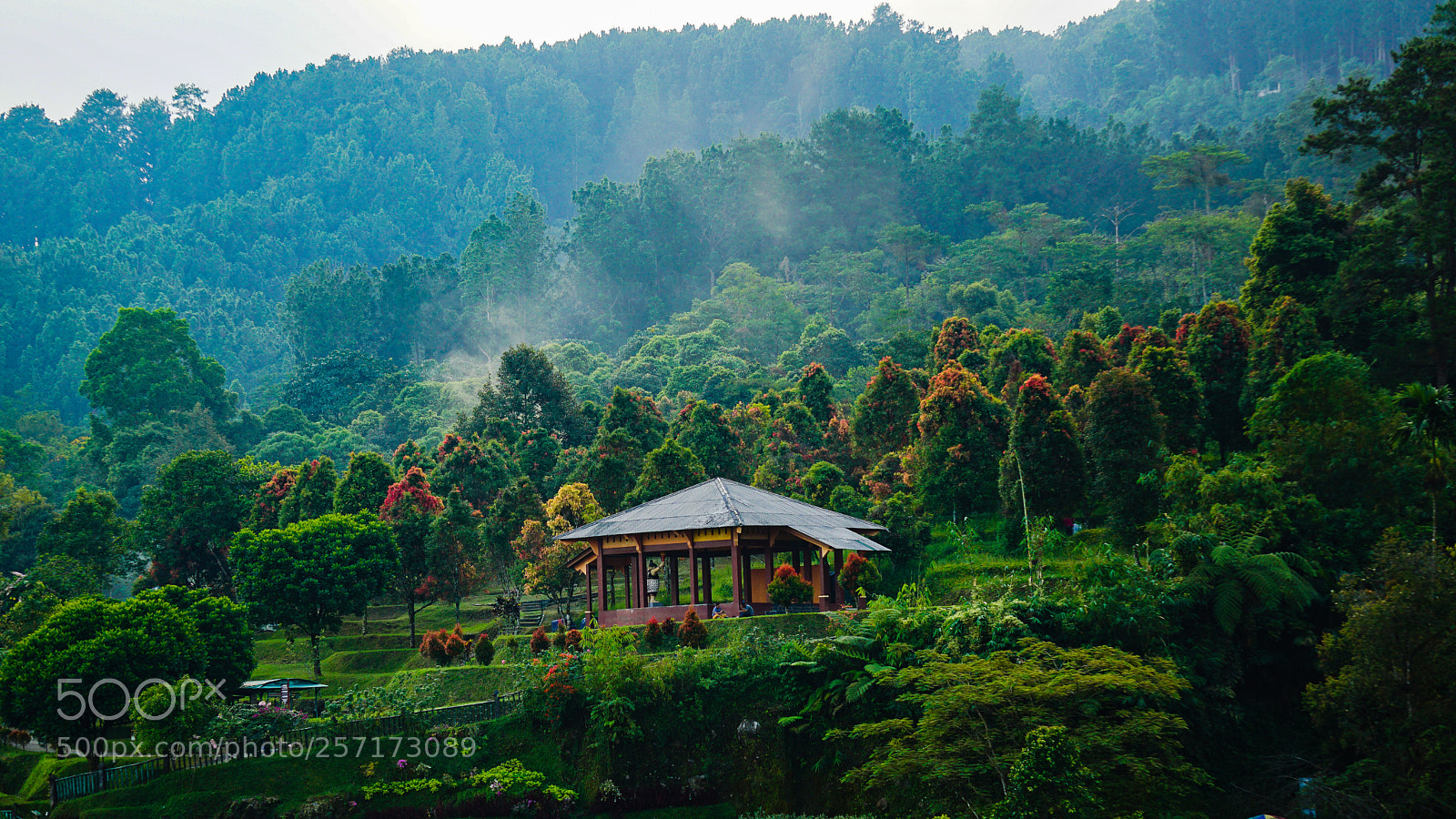Sony a6000 sample photo. Pendopo on the hill photography