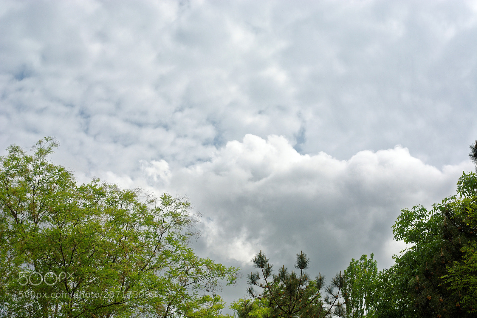 Nikon D5200 sample photo. Crimean sky photography
