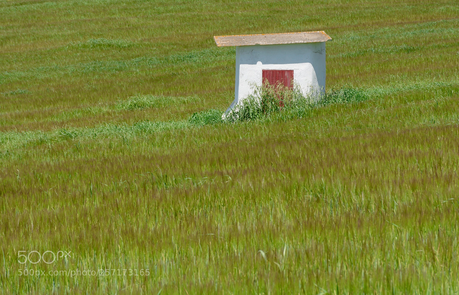 Nikon D7100 sample photo. Solitario photography