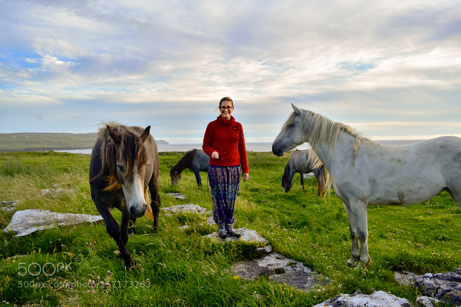 Nikon D5500 sample photo. Doolin horses photography