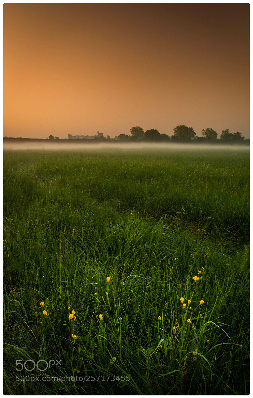 Olympus OM-D E-M5 sample photo. Foggy sunrise in eton photography