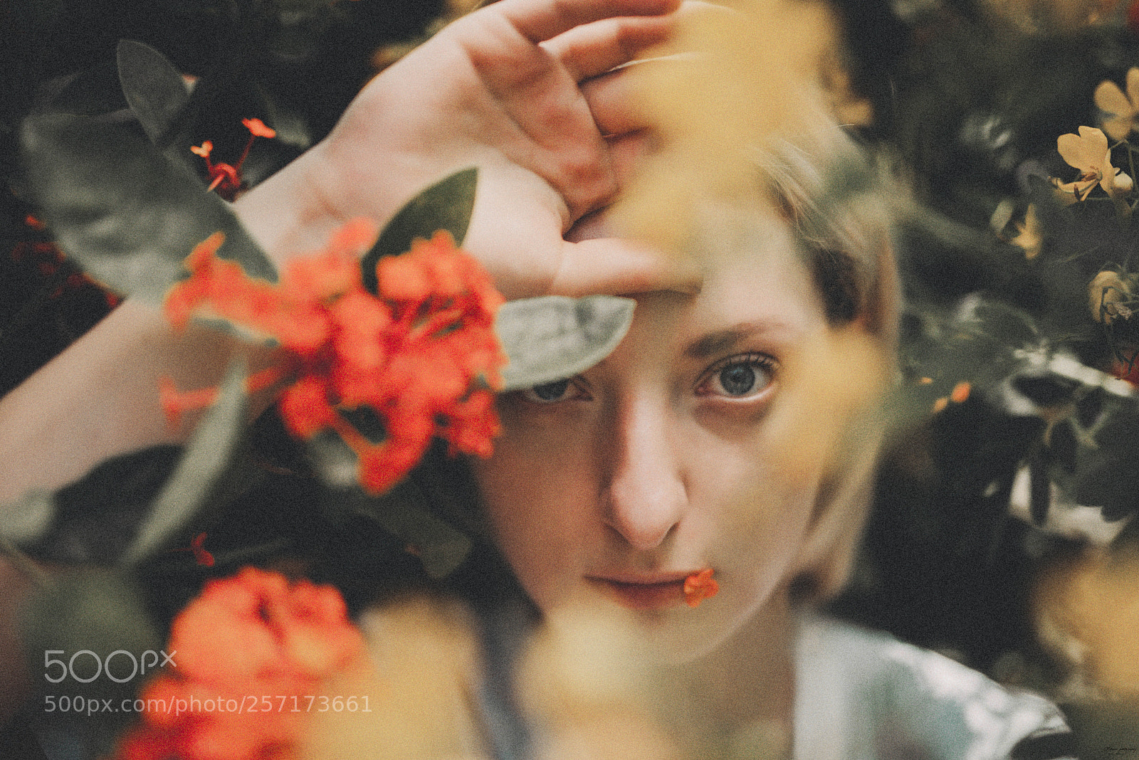 Nikon D810 sample photo. Eyes photography