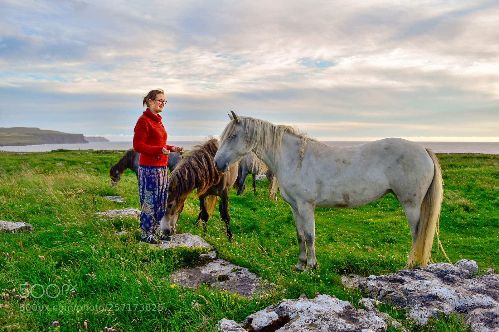 Nikon D5500 sample photo. Doolin horses 2 photography