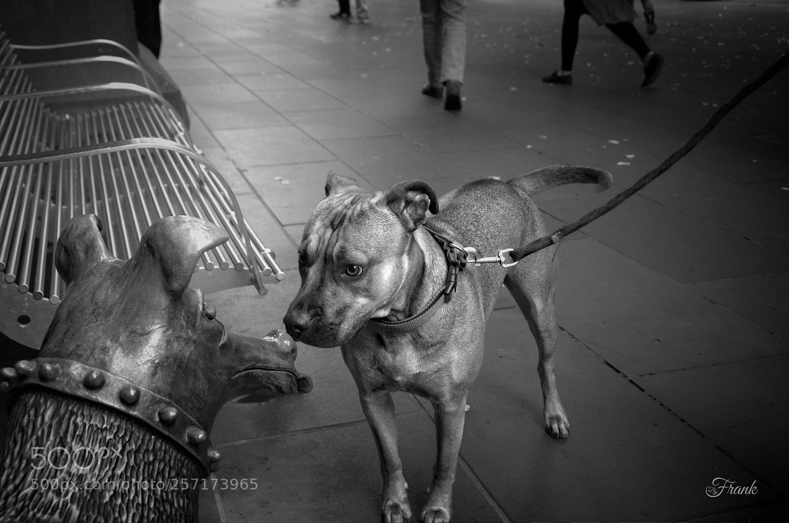 Nikon D7000 sample photo. Streets of melbourne photography