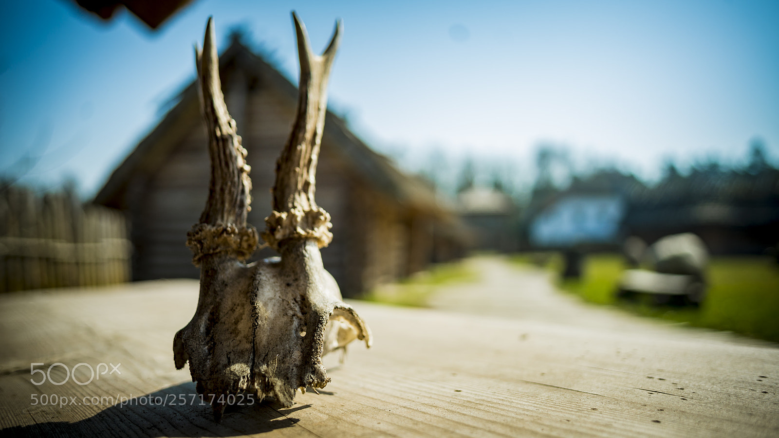 Sony a7S II sample photo. Osada photography