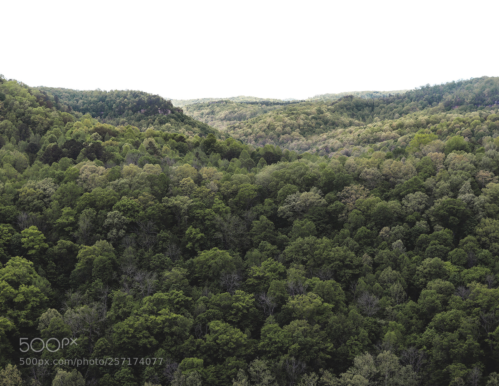 Canon EOS 77D (EOS 9000D / EOS 770D) sample photo. Buzzard rock photography