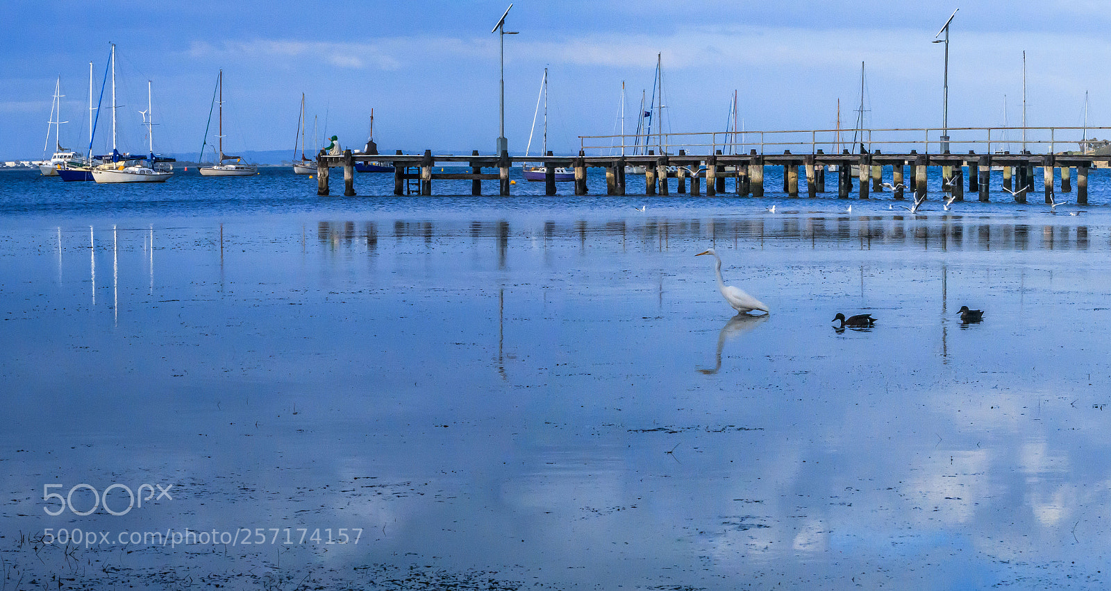 Canon PowerShot G7 X Mark II sample photo. A peaceful bay photography