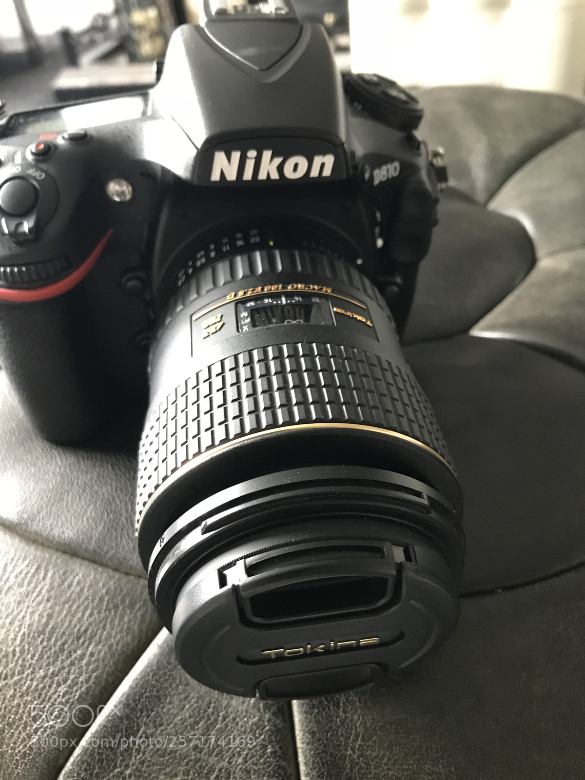 Apple iPhone 7 sample photo. Tokina 100mm macro photography