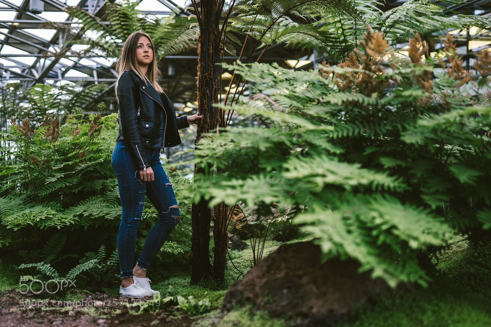 Sony a7 III sample photo. Jungle photography