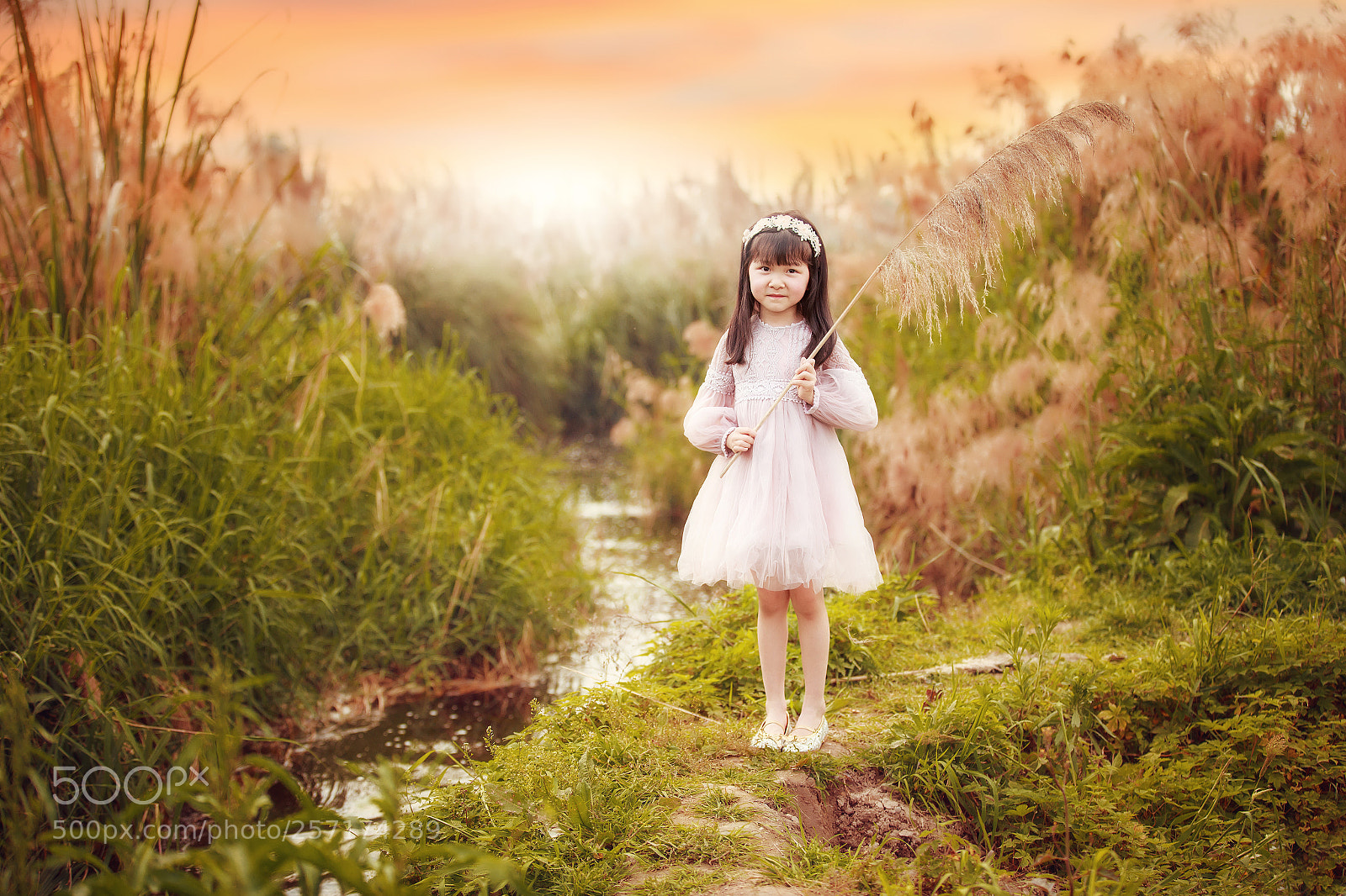 Canon EOS 6D sample photo. ®® photography