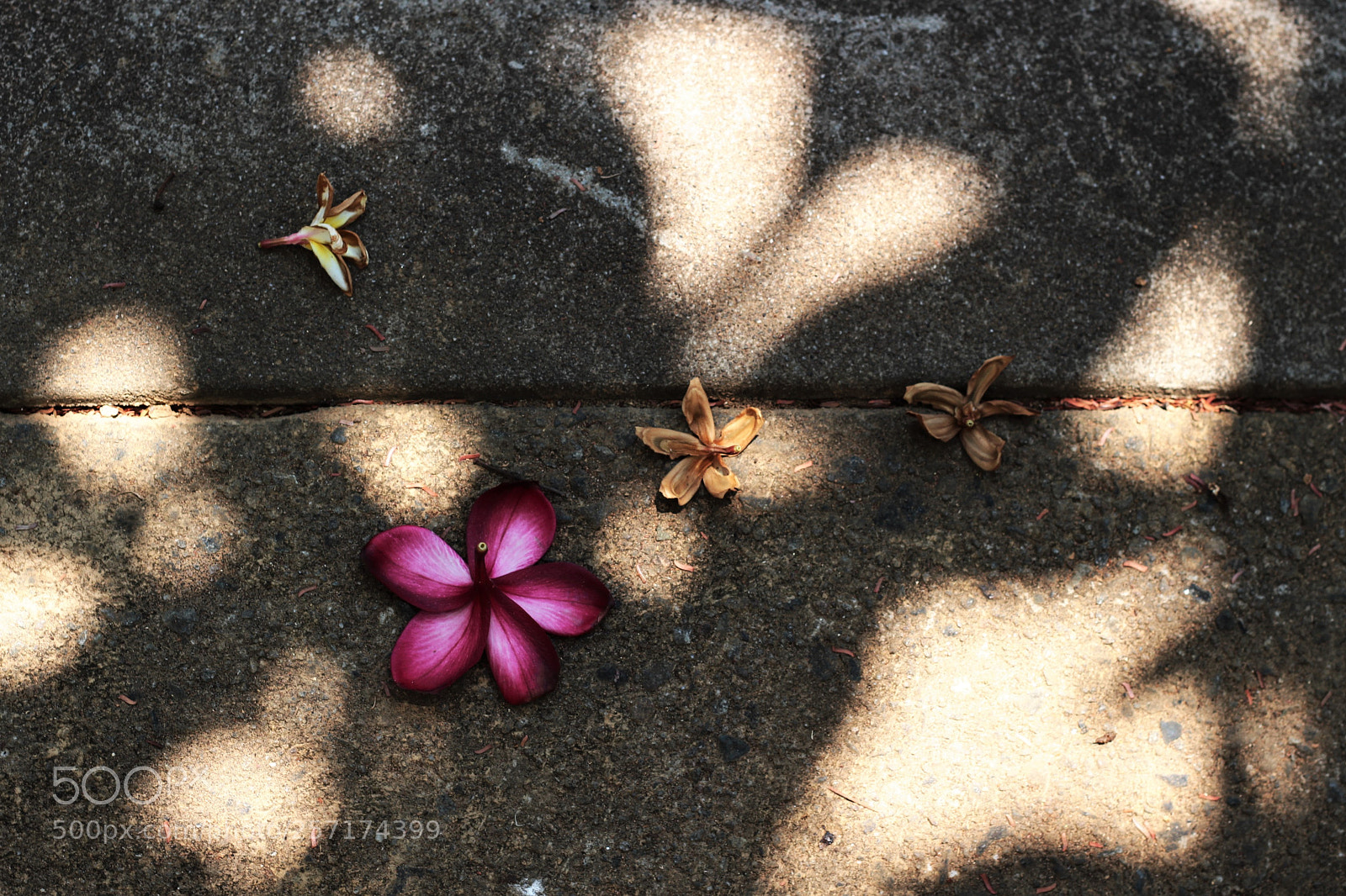 Canon EOS 100D (EOS Rebel SL1 / EOS Kiss X7) sample photo. Fading between light and photography