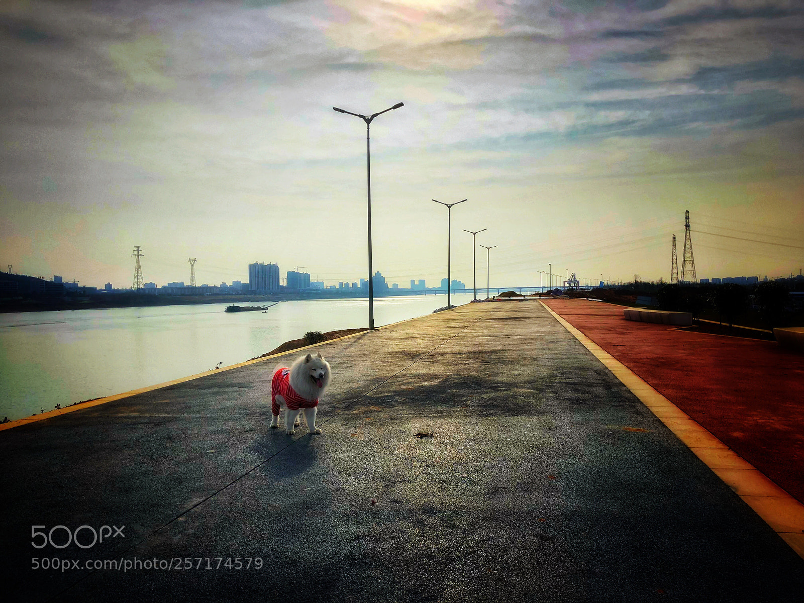 Apple iPhone X sample photo. Untitled photography