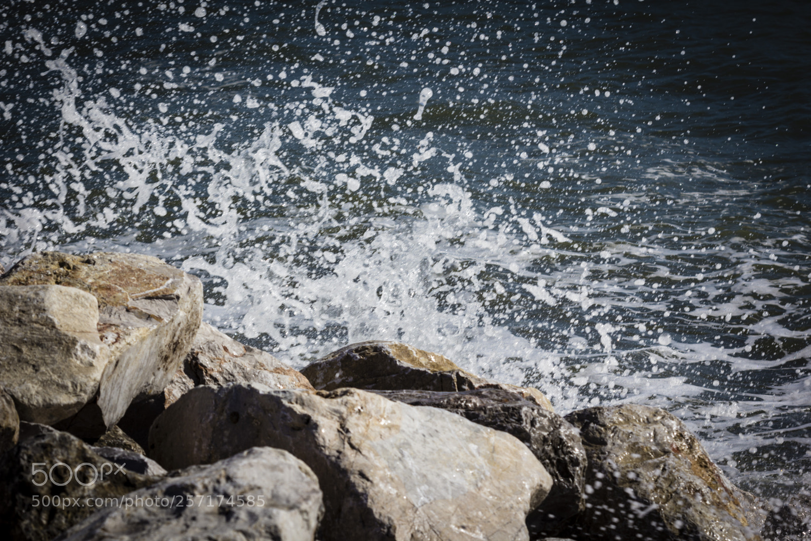 Canon EOS 60D sample photo. Sasso photography