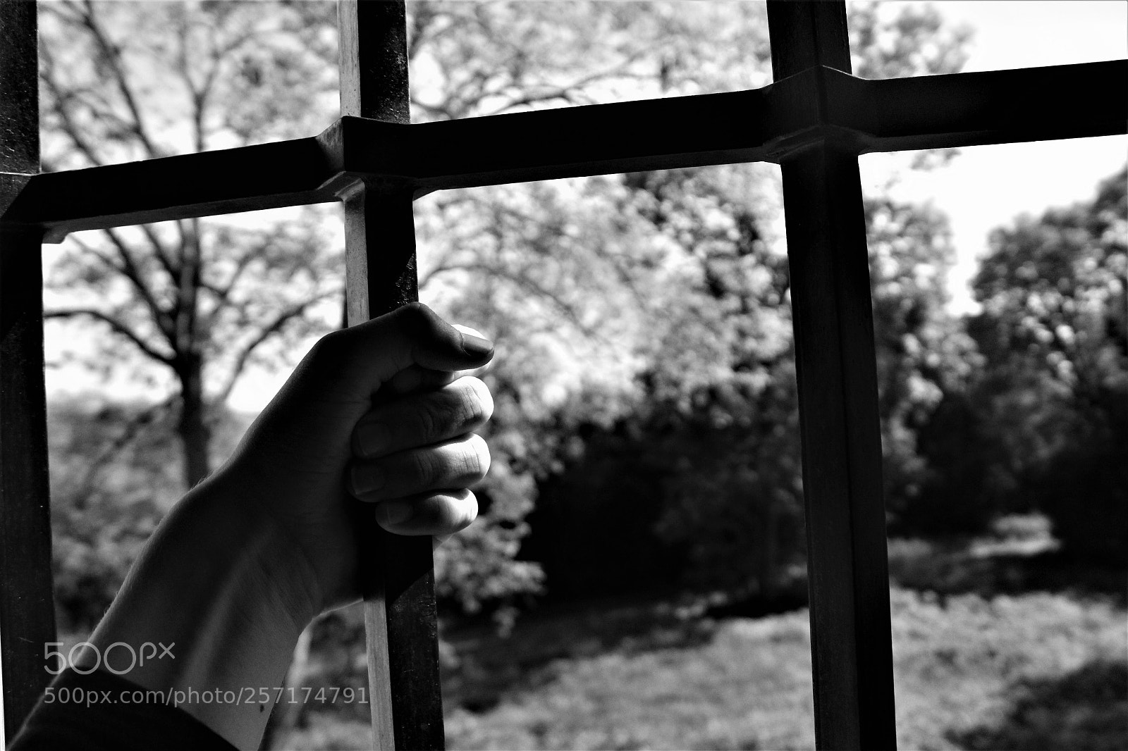 Canon EOS 1300D (EOS Rebel T6 / EOS Kiss X80) sample photo. En prison photography