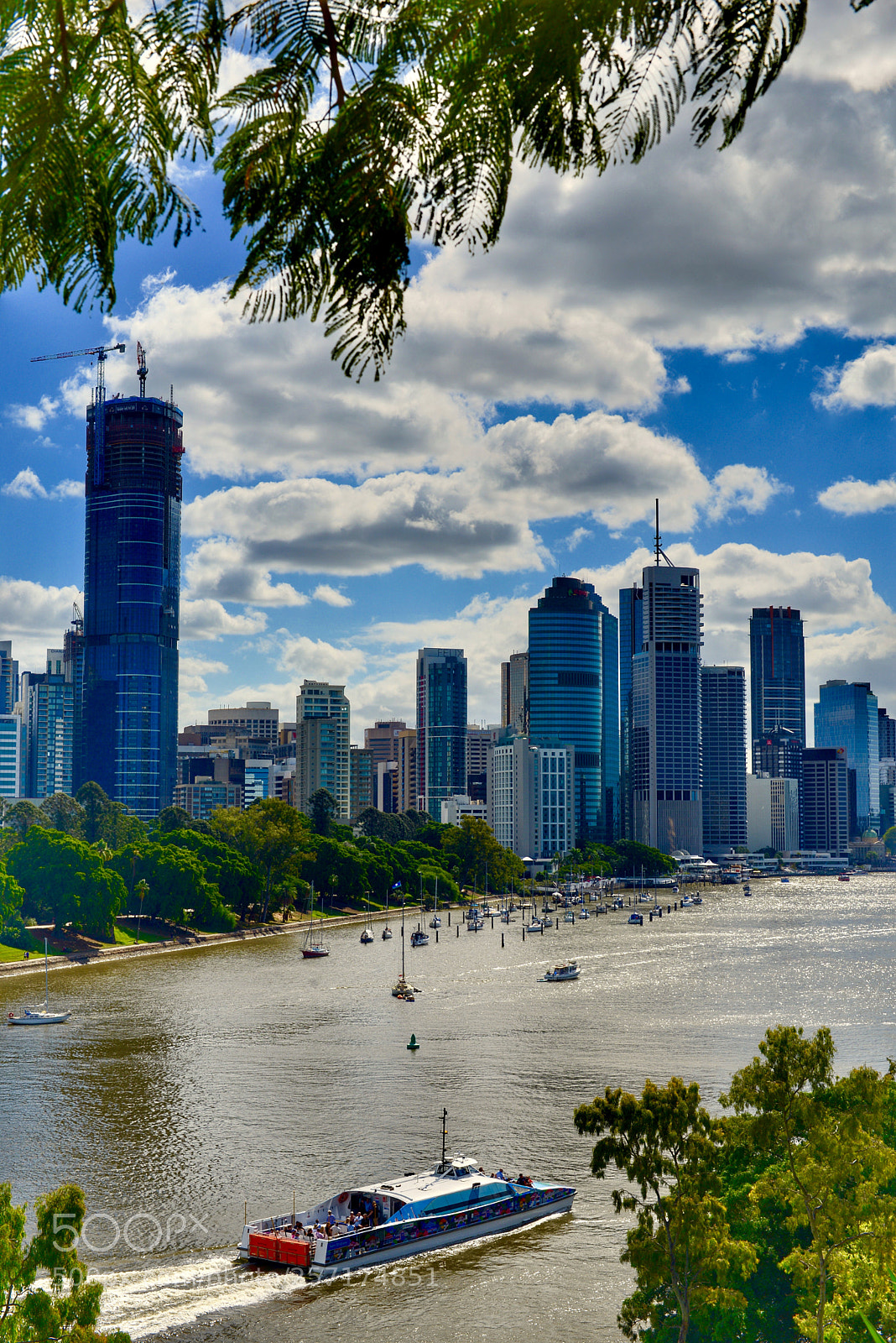 Nikon D800 sample photo. 《the beautiful brisbane river.》2。 photography