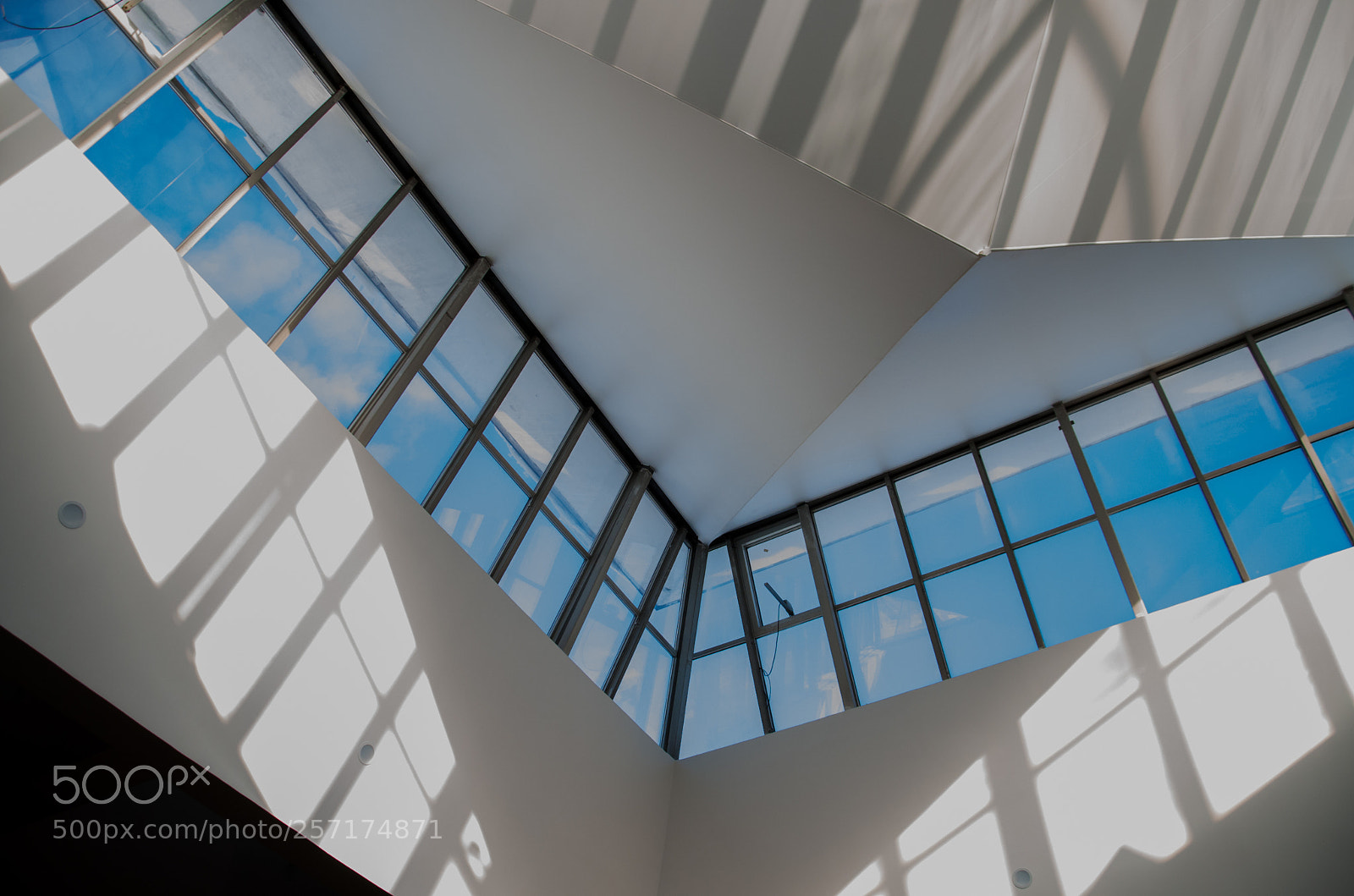 Nikon D5100 sample photo. Moscow institute of electronic photography