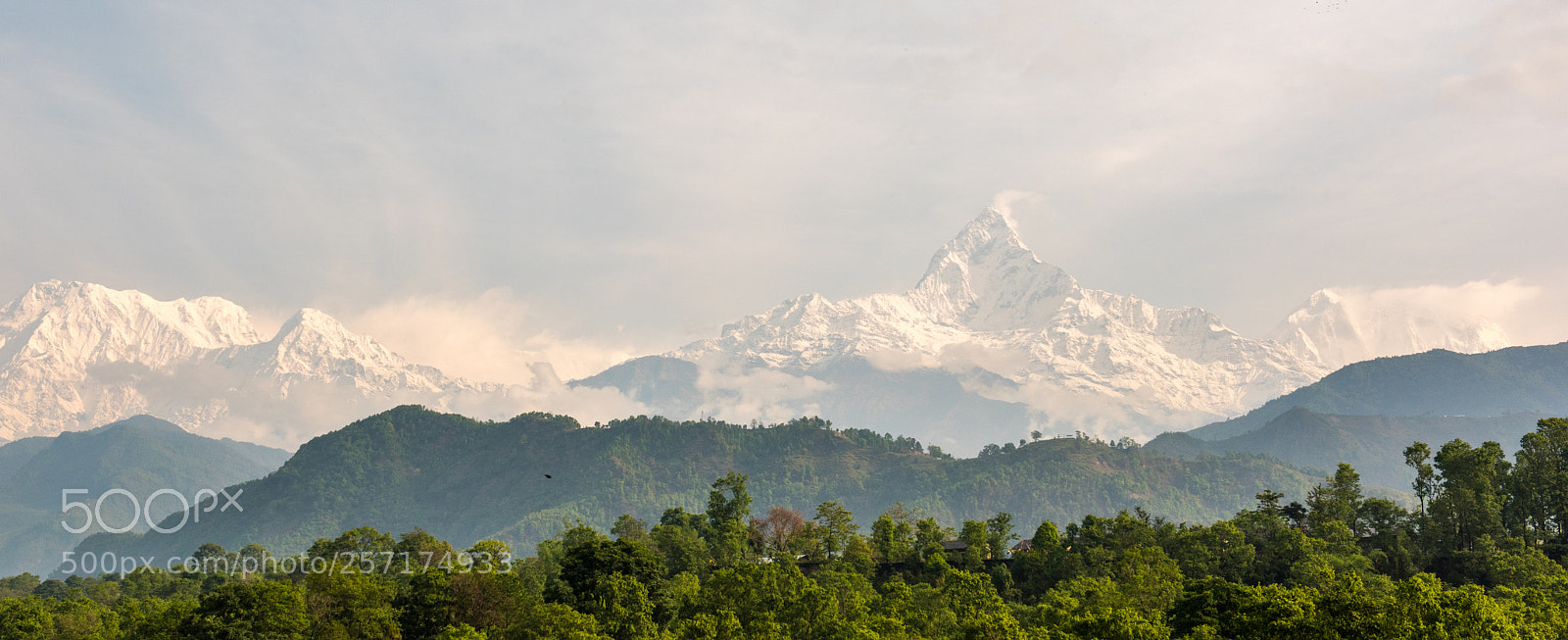 Nikon D810 sample photo. View of fishtail in photography