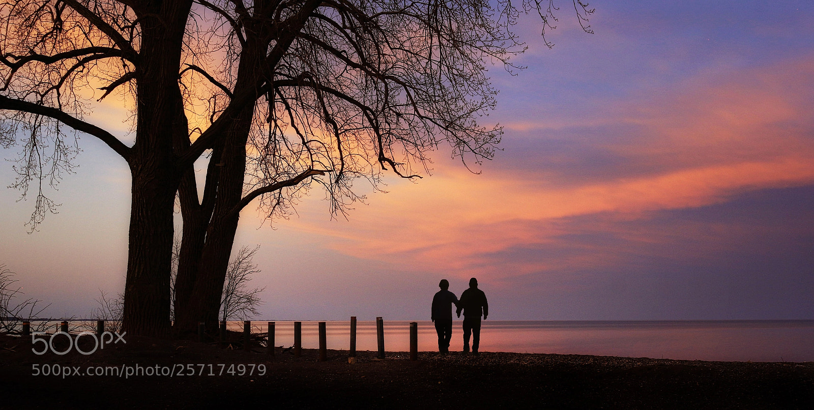Canon EOS 70D sample photo. Twilight walk photography