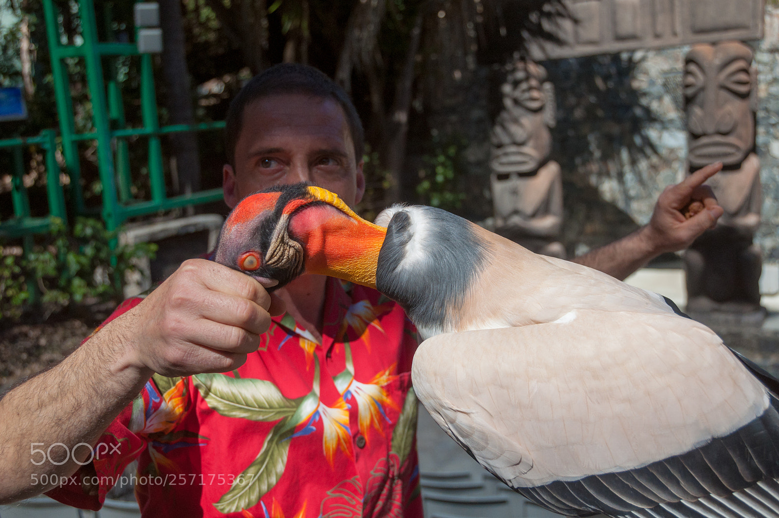Nikon D90 sample photo. Portaventura world - portaventura photography