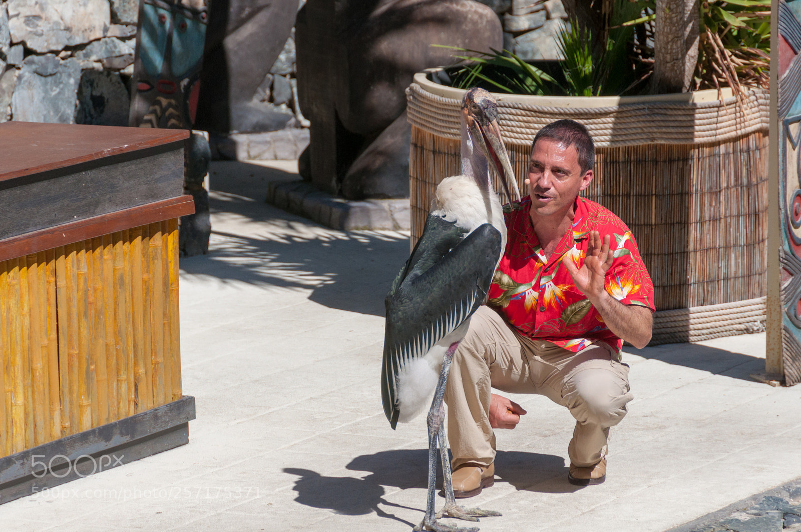 Nikon D90 sample photo. Portaventura world - portaventura photography