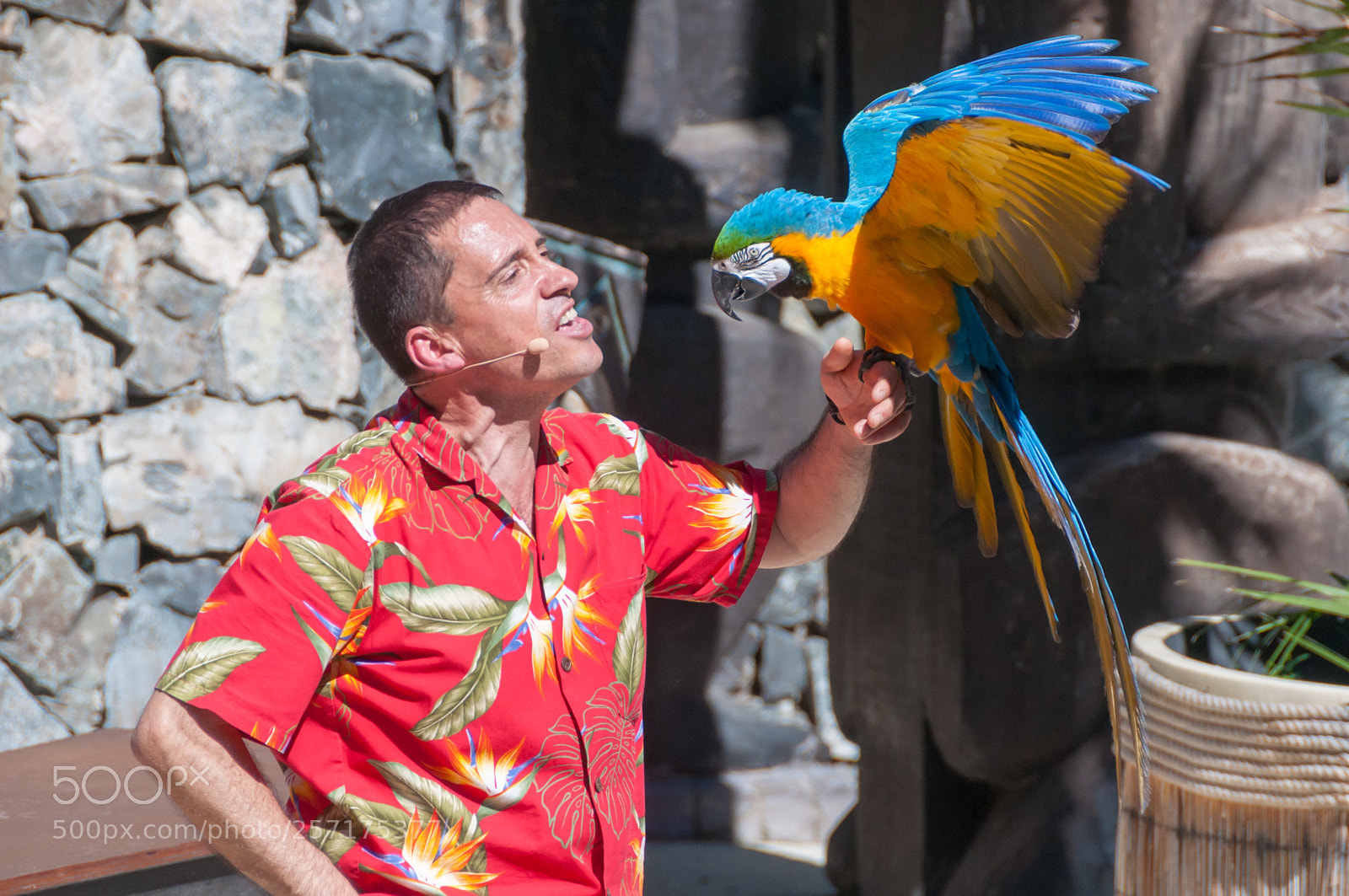 Nikon D90 sample photo. Portaventura world - portaventura photography