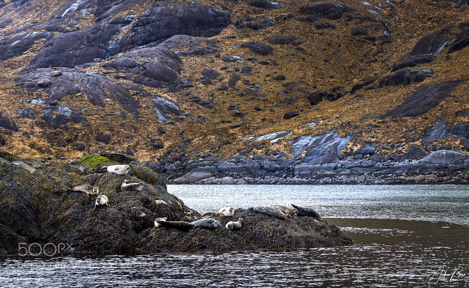 Canon EOS 80D sample photo. Eilean glas photography