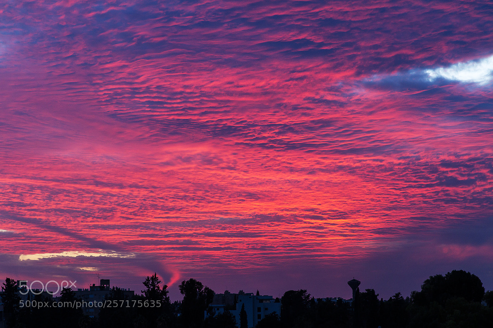 Canon EOS 7D sample photo. Pink clouds in the photography