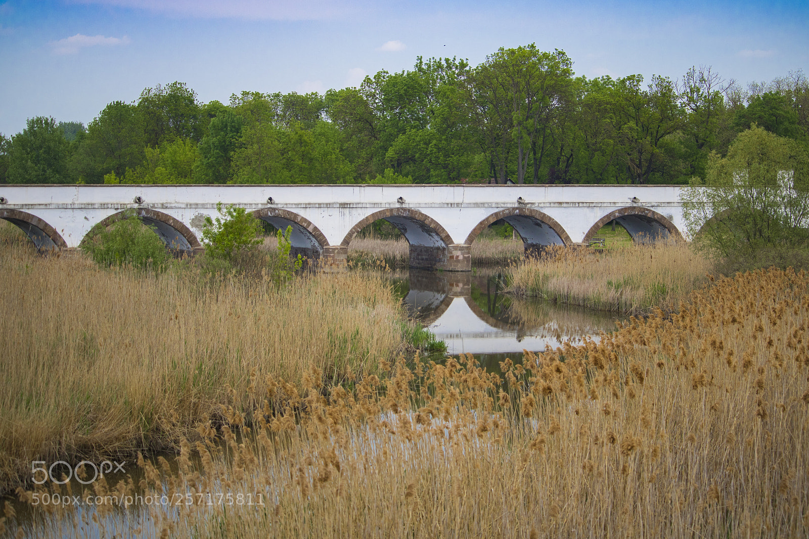 Canon EOS 750D (EOS Rebel T6i / EOS Kiss X8i) sample photo. Nine-hole bridge photography