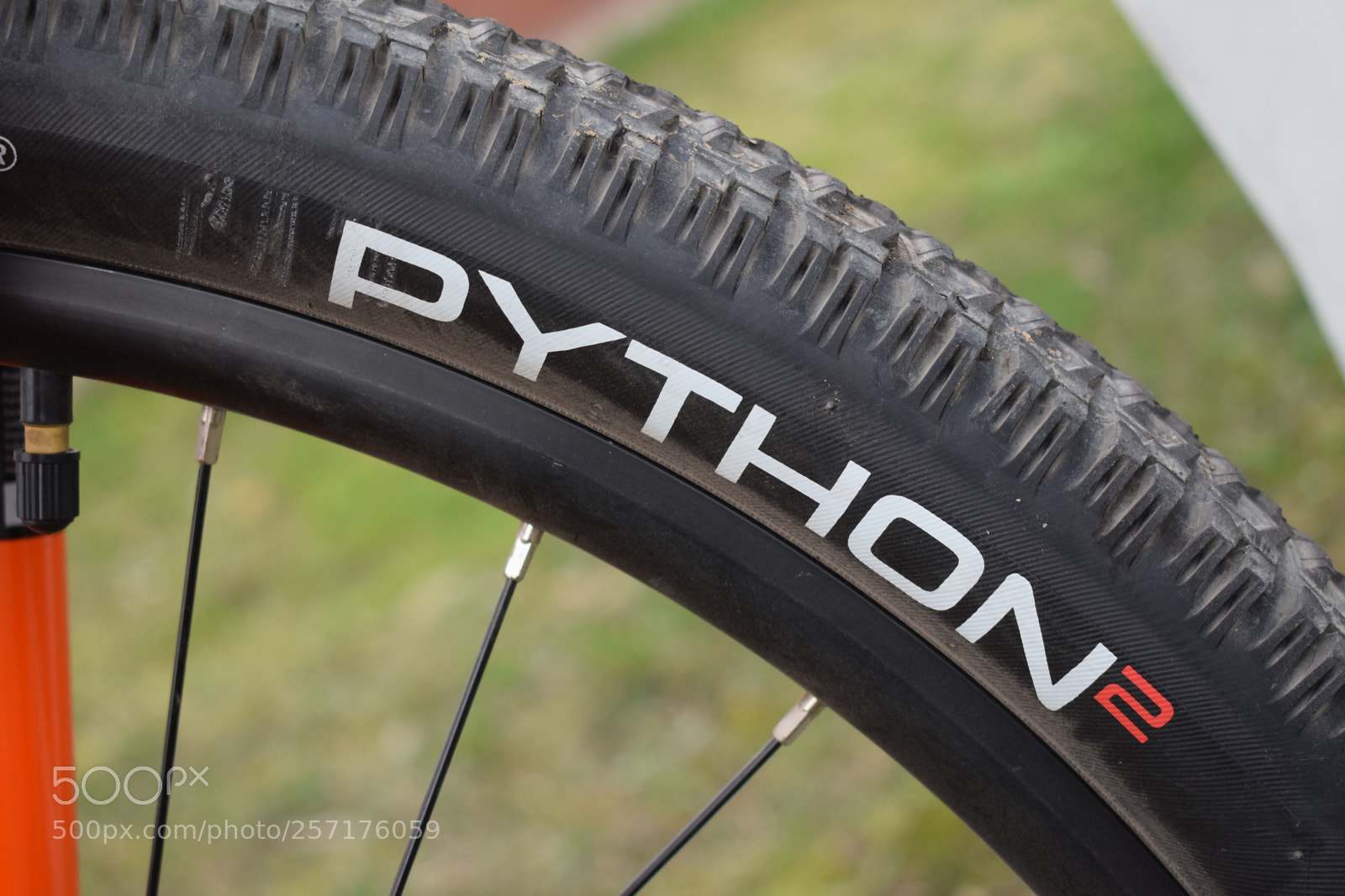 Nikon D5300 sample photo. Python2 - commercial ad photography