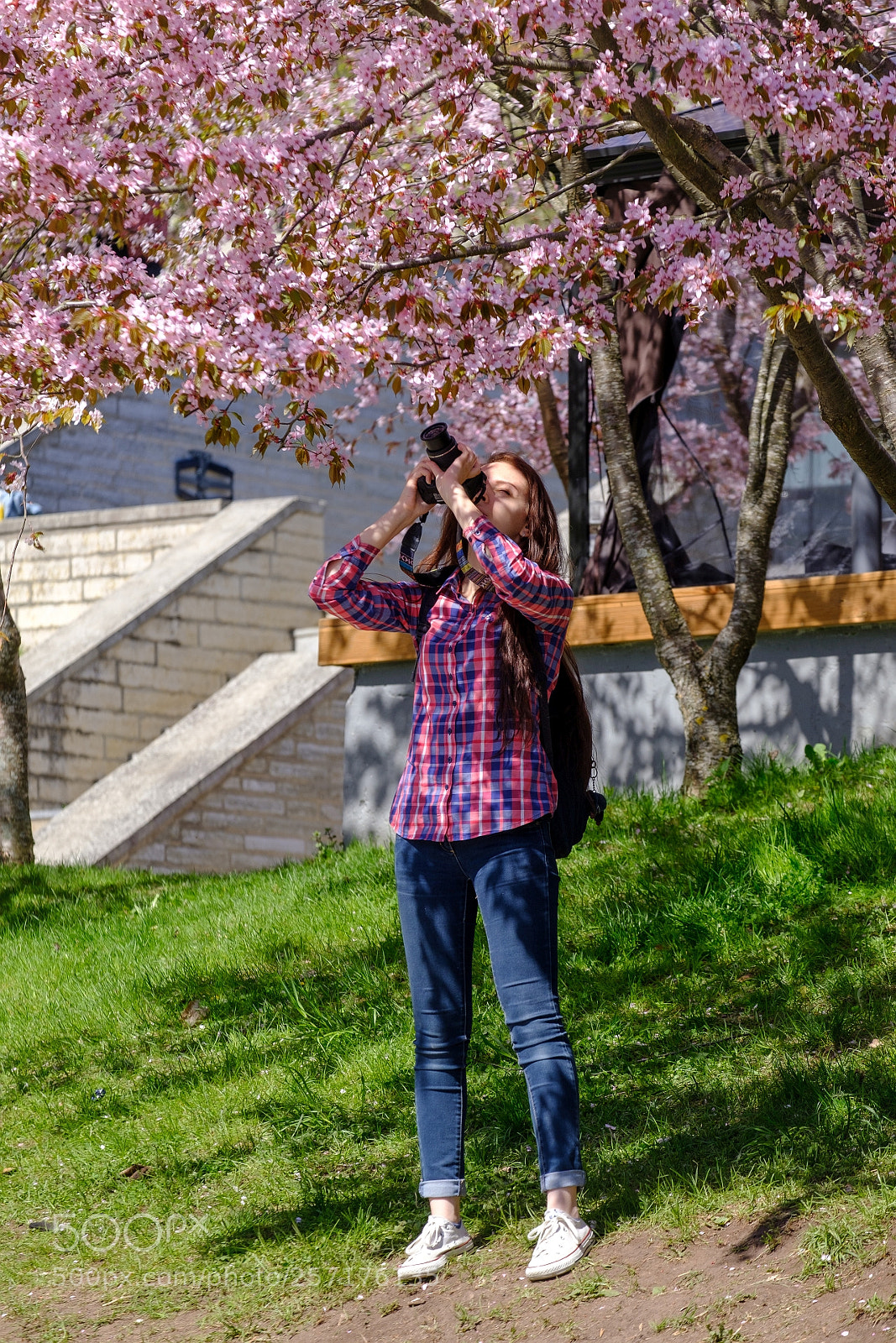 Fujifilm X-T20 sample photo. Sakura girl photography
